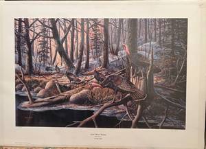 lot 17 image: Ken Zylla Print Crow River Manor
