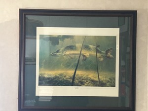 lot 25 image: Framed Print of Northern Pike with a Perch in its Mouth (Sun Dance - Larry Tople)