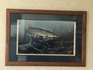 lot 26 image: Signed, Framed and Numbered Print of Northern Pike By Tom Carter - 7191400