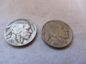 lot 33 image: BUFFALO NICKELS