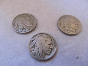 lot 36 image: BUFFALO NICKELS