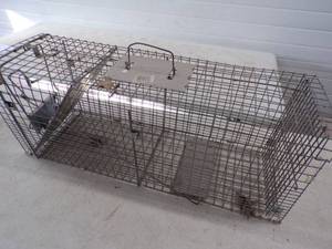 lot 20 image: Large Live Trap