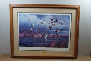 lot 96 image: David A Maass Ducks Unlimited Framed Print Greenhead Alert