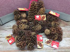 lot 123 image: Group Cinnamon Scented Pine Cones