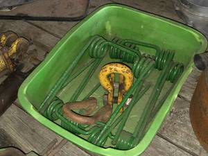 lot 45 image: Lot of (5) Farrow Teeth