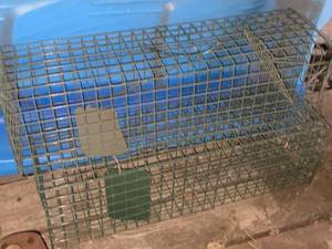 lot 71 image: Lot of (2) Live Animal Traps