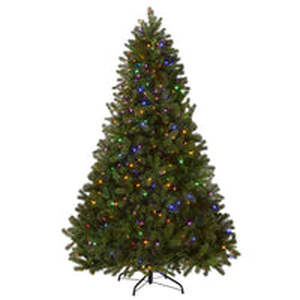 lot 207 image: 7.5 ft. Pre-Lit  Douglas Fir Tree with Dual Color LED Lights, Plug-In