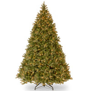 lot 209 image: 10 ft. Pre-Lit Douglas Fir Tree with Warm White LED Lights