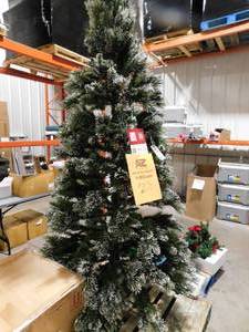 lot 208 image: Nine Foot Tree