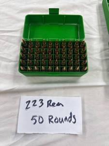lot 0489 image: .223 Rem 50 Rounds