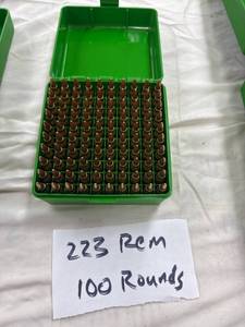 lot 0491 image: .223 Rem Ammunition (100)