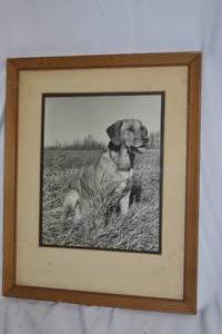 lot 313 image: Picture