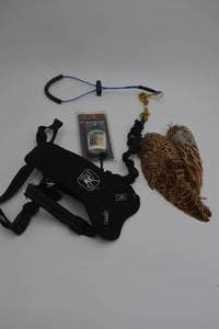 lot 346 image: Dog Training Stuff