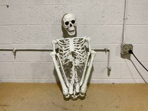 lot 132 image: Boyel Living Life-Size Hanging Skeleton Decor for Halloween