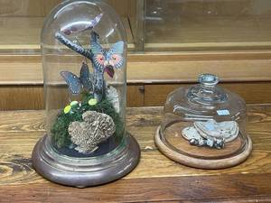 lot 334 image: Decorative Cloche Set with Butterflies, Moss, and Fungi