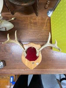 lot 45 image: Mounted Deer Antlers on Wood Plaque and Decor Lot