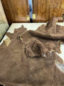 lot 128 image: Brown Sheepskin Hide with Natural Fleece