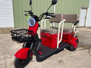 2026 SDLANCH Electric Tricycle Mini Golf Cart (IRGC40) - RED