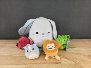 lot 54C image: 5 Squishmallows - Bastian, Barella, Sol, Trenton & Shasta - Brand New