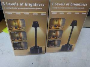 lot 57 image: 2 Battery 2 in 1 Cordless Lamps...