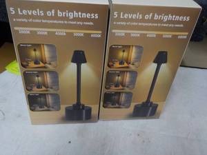 lot 58 image: 2 Battery 2 in 1 Cordless Lamps...