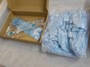 lot 64 image: Princess Costume...