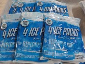 lot 84 image: 6 Everlasting 4 Packs of Ice Packs...