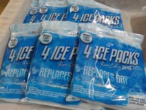lot 85 image: 6 Everlasting 4 Packs of Ice Packs...