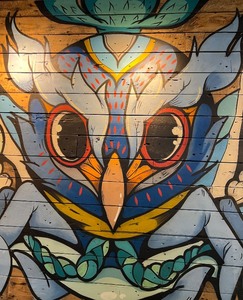 Wall Mural - Owl Artwork - Rodrico Onate - RocoDrilo 2024