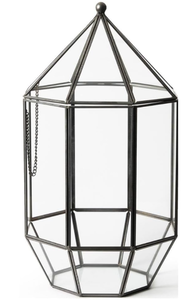 lot 71 image: SuperMoss (90405) Glass Terrarium  Elegant Indoor Gardening Dcor, Ideal Gifts for Plant Lovers, Modern Home & Office Decoration, 7.5 x 7.5 x 14, Greenhouse