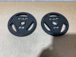 lot 26 image: LOT OF 2 Plates 25lbs (Only Plates)