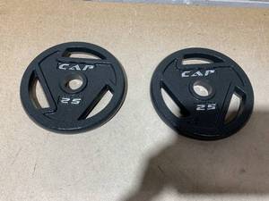 lot 29 image: LOT OF 2 CAP Plates 25lbs (Only Plates)