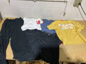 lot 146 image: LOT OF 6 Womens Shirts, Pant, & Short Size M