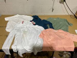 lot 388 image: LOT OF 5 Womens Shirts Size L