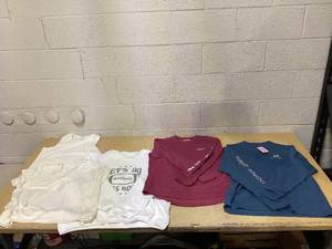 lot 295 image: LOT OF 5 Womens Shirts Size L