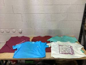 lot 296 image: LOT OF 5 Womens Shirts Size 2XL