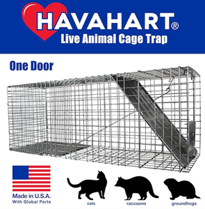 lot 484 image: HAVAHART 1079SR Large 1-Door Humane Catch and Release Live Animal Trap Cage - Live Raccoon Trap, for Bobcats, Beavers, Dogs, & More