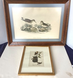 lot 110 image: Pair of Nicely Framed Vintage Bird Prints