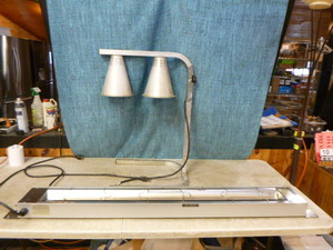 lot 42 image: 2 Heat Lamps