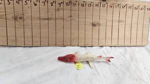 lot 126 image: Handcarved Decoy