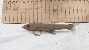 lot 149 image: 1950s Spearing Decoy