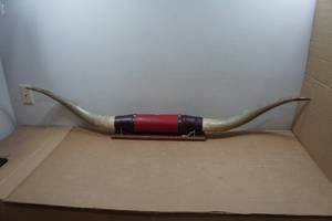 lot 256 image: Authentic Texas Longhorn Mount