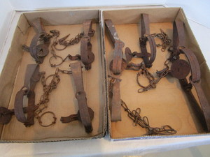 lot 157 image: Gopher Traps