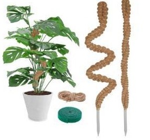 lot 305 image: Moss Plant Climbing Ropes 2 Pack - Brand New