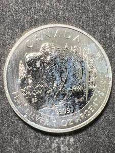 lot 24 image: 2013 CANADIAN BISON 1 TROY OZ .9999 FINE SILVER