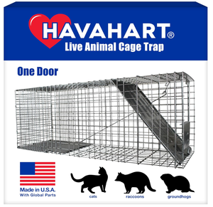 lot 108 image: HAVAHART 1079SR Large 1-Door Humane Catch and Release Live Animal Trap Cage - Live Raccoon Trap, for Bobcats, Beavers, Dogs, & More