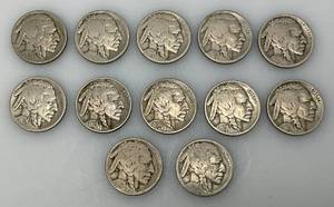 lot 113 image: 1920-30s US Buffalo Nickels