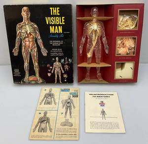 lot 126 image: 1959 Renwall Brand The Visible Man Model Kit Complete In Original Box