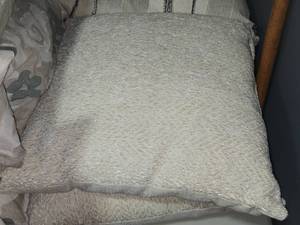 lot 149 image: Lot of (2) 15 Zigzag pattern Cushions by Missoni Home