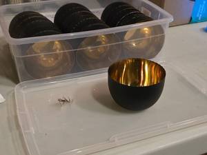 lot 352 image: Lot of (18) Scalloped Edge Metal Bowl 2 12 x 3 12 (gold tone with black matte interior)